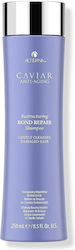 Alterna Reconstruction/Nourishment Shampoo 250ml