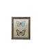 Angiolina Wooden Photo Frame with Brown Frame
