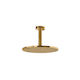 Eurorama Eletta Chester Showerhead 22.5cm with Arm