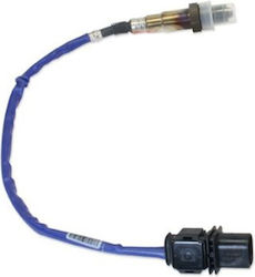 AEM 30-2404