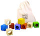 Plan Toys Κύβοι Για Μέτρημα Educational Game Knowledge made of Wood for 3+ years Years Old