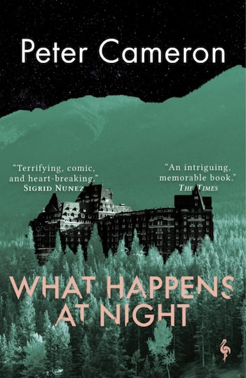 What Happens at Night What Happens at Night