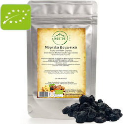 Nostos Pure Βιολογικά Blueberries Χωρίς Ζάχαρη 1000gr 5210170962281