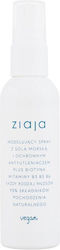 Ziaja Spray De Păr Sea Salt 90ml