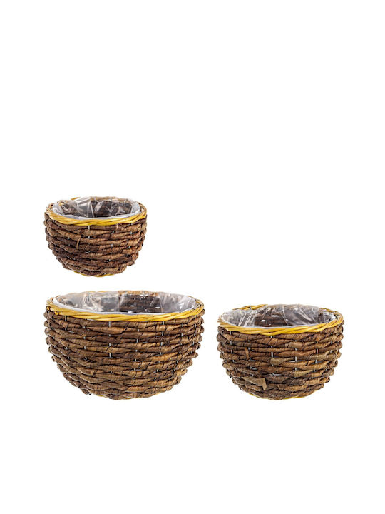 Wicker Decorative Basket Bizzotto