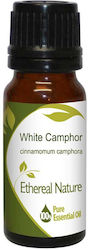Nature & Body Camphor Essential Oil 10ml