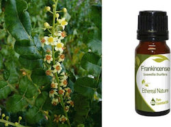 Ethereal Nature Essential Oil Frankincense 10ml