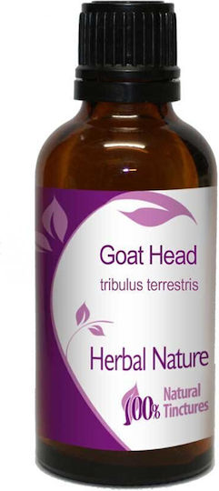 Nature & Body Tinktur Goat Head Bambus Bromelie 50ml