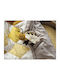 Cotton Baby Quilt 110x140cm Yellow