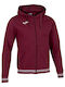 Campus Iii Men's Fleece Jacket with Hood Red