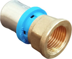 Rinaldi Pettinaroli Ρακόρ Σύνδεσης Σωλήνα Mehrschichtige Rohre Weiblich Φ18Χ1/2"X2mm 3684020201