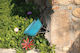 Lianos Decorative Cart Garden Bamboo 154616