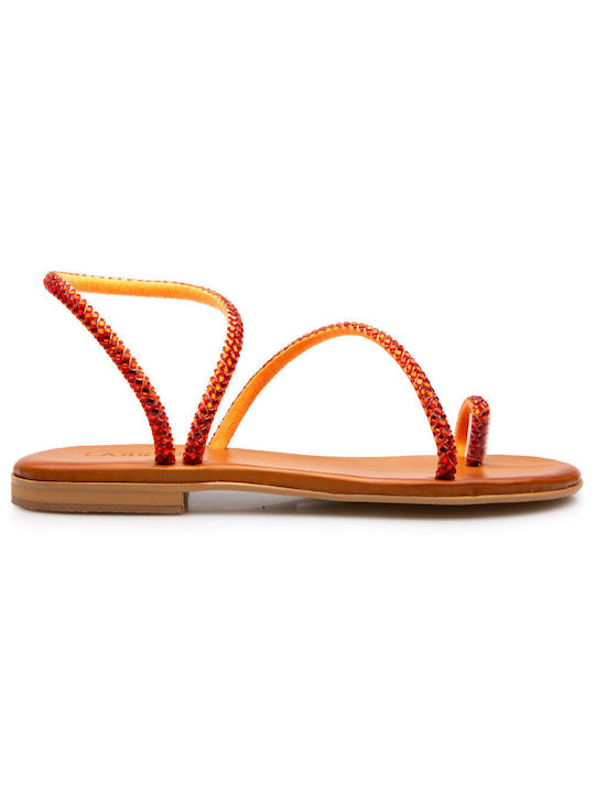 Labrini Women's Sandals Orange
