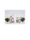 +Efo Christmas Illuminated Decorative Ceramic House White with Battery 9.5x9x6.5cm. 2pcs