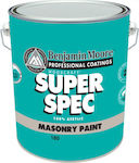 Benjamin Moore Paint Plastic Acrilyc Paint White 10lt