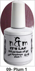 N&M Nails Ημιμόνιμο Βερνίκι Plum 09 15ml N&M Nails Ημιμόνιμο Βερνίκι Plum 09 15ml