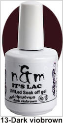N&M Nails Ημιμόνιμο Βερνίκι dark viobrown 13 15ml N&M Nails Ημιμόνιμο Βερνίκι dark viobrown 13 15ml