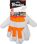 Bradas Gloves for Work Cold-Resistant 1pcs