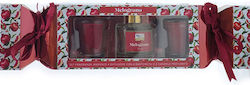 General Trade Set Diffuser Pomegranate