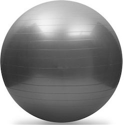 Profit Μπάλα Pilates 65cm σε Γκρι Χρώμα