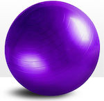 Profit Exercise Ball Pilates 55cm in Purple Color