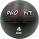 Profit Ball Medizin 4kg