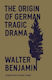 Paperback Softback