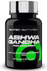 Scitec Nutrition Ashwagandha 226mg 60 κάψουλες Scitec Nutrition Ashwagandha 226mg 60 κάψουλες