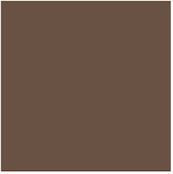 Fabriano Canson Cardboard No Pattern Brown 70x100см.