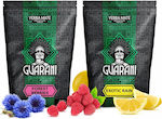 Guarani Mate Tea 500gr 2pcs