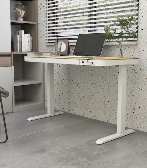 Birou Electric E-desk cu Înălțime Reglabilă 120x60x72 cm Fag-Alb Birou Electric E-desk cu Înălțime Reglabilă 120x60x72 cm Fag-Alb