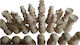 Magic Puzzle Box Lucrat manual Chess Wood