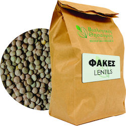 Biothisavros Φακές Ελληνικές 500gr