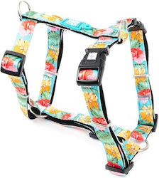 Max & Molly Μπλε Small 15mm x 41-52cm Max & Molly Μπλε Small 15mm x 41-52cm