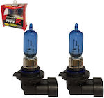 Type-R Lămpi HB3-9005 Halogen Alb 12V 65W 2buc