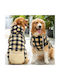 Sweatshirt Hund in Gelb Farbe