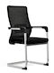 Chair Visitor with Arms in Black Color 56x56x100cm 1pcs