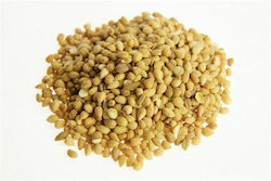 Whole Mahleb 100g Whole Mahleb 100g