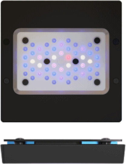 Ecotech Marine Lampă cu led pentru iluminat acvariu cu lumina Albastru 95W