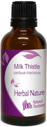 Nature & Body Tincture Tincture Thistle 50ml Milk Thistle