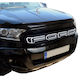 Ford Car Decorative Mask Ford Ranger