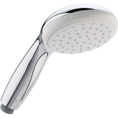 Grohe Tempesta 100 Handheld Showerhead