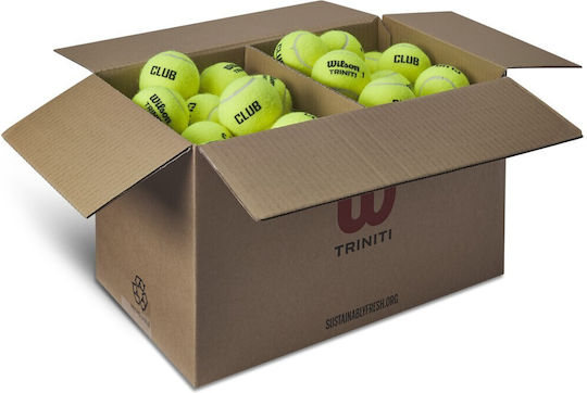 Wilson Triniti Club Tennisbälle Tennis Praxis 1Stück