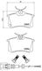 Brembo Brake Pad Rear for Seat Cordoba / Ibiza Skoda Fabia Volkswagen Golf / Lupo / Polo