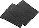 Alpine Fitness Δάπεδο Οργάνων Γυμναστηρίου Μαύρο 100x100x2cm 1τμχ