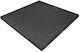 Alpine Fitness Podele Echipament de gimnastică Podele de Gimnastică Negre 100x100x3cm 1buc