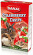 Sanal Treat with Strawberry for Rabbit 45gr