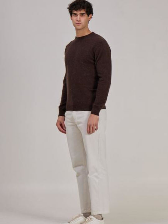 Wool & Co