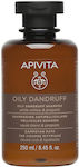 Apivita Oily Dandruff White Willow & Propolis Shampoos gegen Schuppen für Ölig Haare 1x250ml
