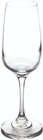 GTSA Champagne Glass Set Made of Glass Goblets 247ml 24 Pieces